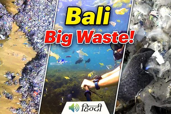 Bali Removes 70 Tons of Plastic Waste From Its Beaches