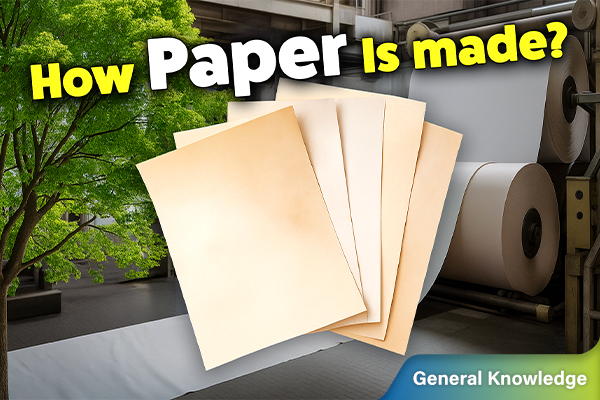 How is Paper Really Made?