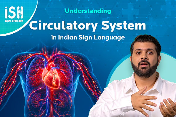 Understanding Circulatory System: Your Body’s Lifeline
